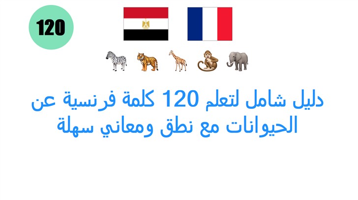 دليل شامل لتعلم 120 كلمة فرنسية عن الحيوانات مع نطق ومعاني سهلة